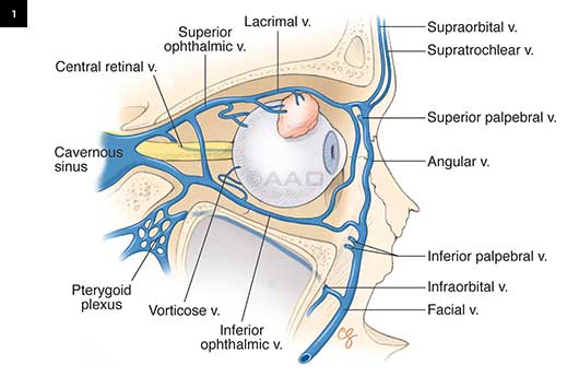 ophthalmic-clinic-2